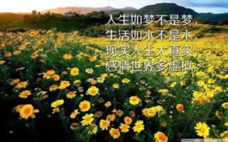 遇到网站流水不足不给提款怎么办?有人知道怎么办吗?.内容概要(图)