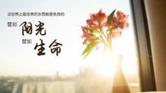 在黑网延迟数据未更新不给提款咋办(图)