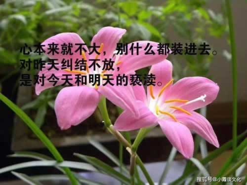 在黑平台上被黑怎么找人.文章慨括(图)