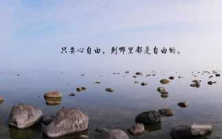 平台告知网络线路波动风控部门检测系统异常数据未返导致不能提现无法出款.小序(图)