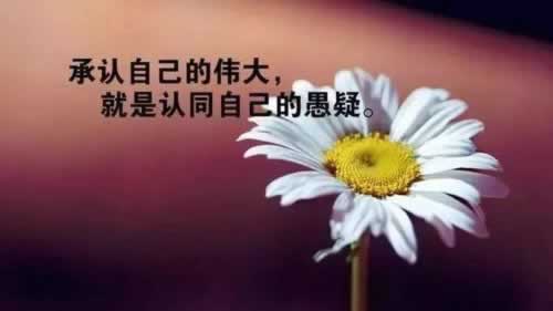 账号审核提不了钱怎么办?简洁说明,轻松应对!到底怎么操作(图)