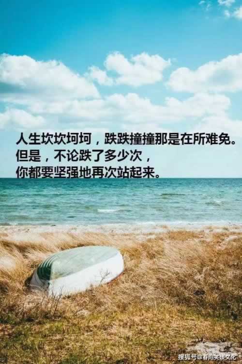 正规出黑工作室.文章导言(图)