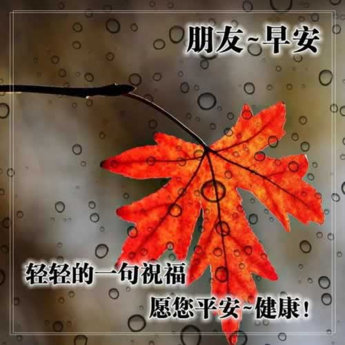 被黑系统审核异常维护不给提款了.内容狮评(图)