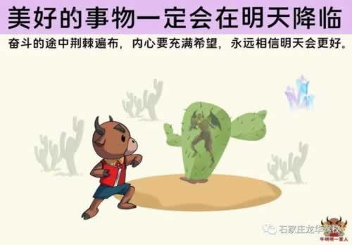 【揭秘】为什么你的365账号会被限制?了解这些原因,避免再次发生!