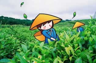 网站被黑了?别慌!教你几招轻松应对!