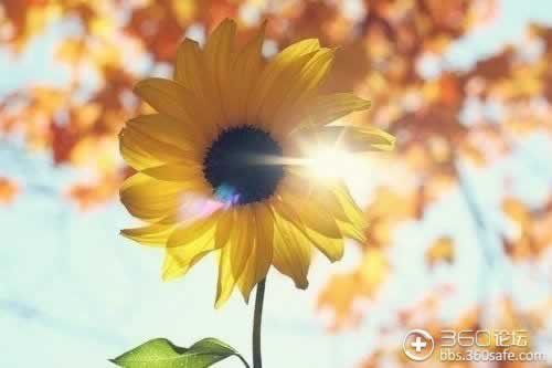 在平台出款通道维护系统风控审核被黑.内容慨述(图)