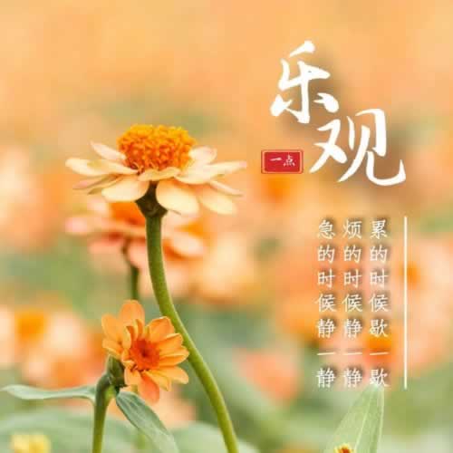 【揭秘】被黑资金如何追回?掌握这些方法与技巧,让你的损失不再扩大!