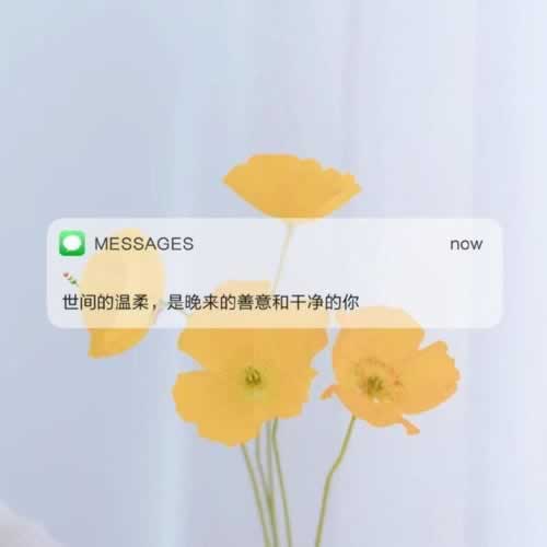 网站被坑被黑,客服各种理由不给出款?揭秘解决之道,教你如何顺利出款!