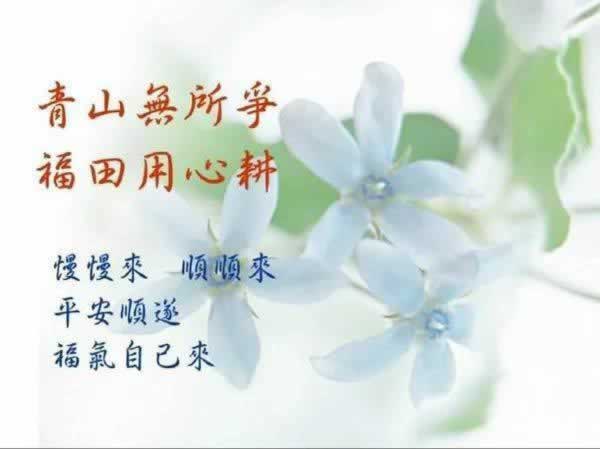 在网站银行系统维护提现不了怎么办?揭秘提现难题背后的真相