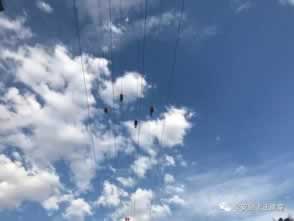 赢了被黑不给提款 核心破解(图)