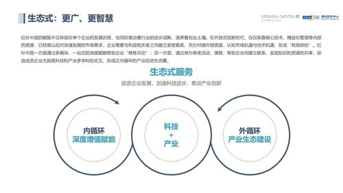网上赢钱被黑,提款不给,维护审核能过吗?揭秘真实案例,教你如何应对!