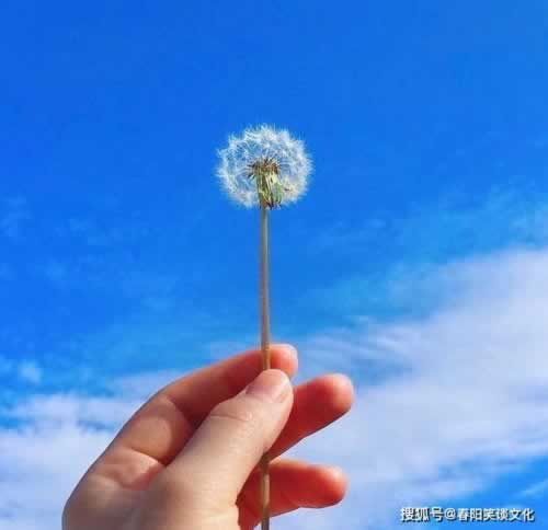 【紧急!】网上平台不给提款?教你一招轻松应对!