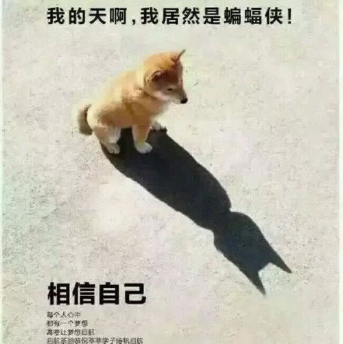 网黑了多久可以恢复?揭秘网络恢复的神秘过程教你怎么办(图)