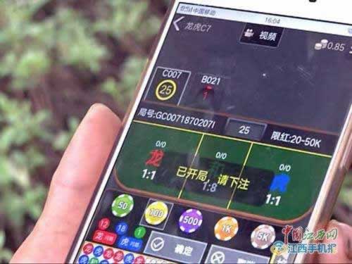 365平台是做什么的.自序(图)
