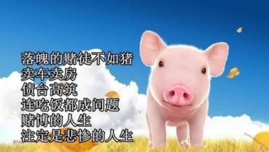 被黑了提不了款?揭秘解决之道,让你轻松应对!大家怎么弄(图)