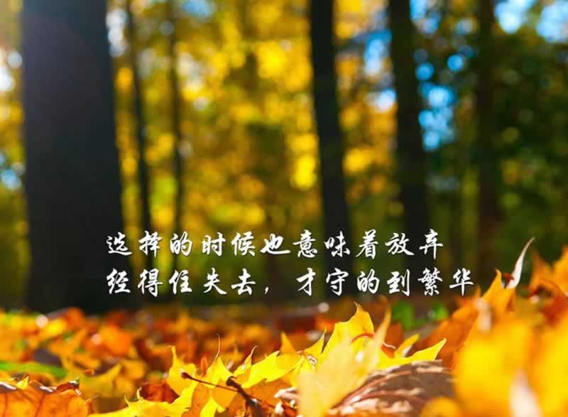 提现为何迟迟不到账.引题(图)
