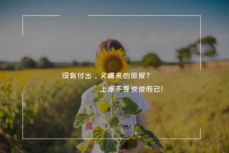 碰到黑网出款失败被退回 系统方案(图)