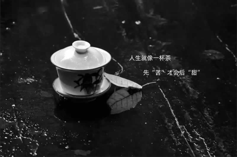 平台提款说系统维护.文章概览(图)